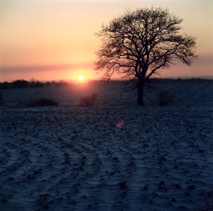 Winter Sunset, Essex